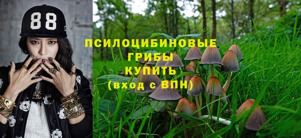 СК Аркадак