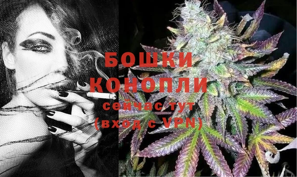 СК Аркадак