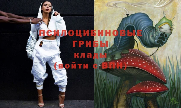 прущий лед Арсеньев