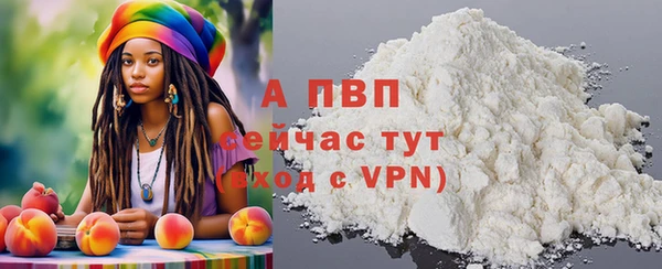 СК Аркадак