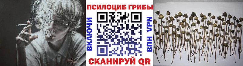 Галлюциногенные грибы мицелий где купить Борисоглебск